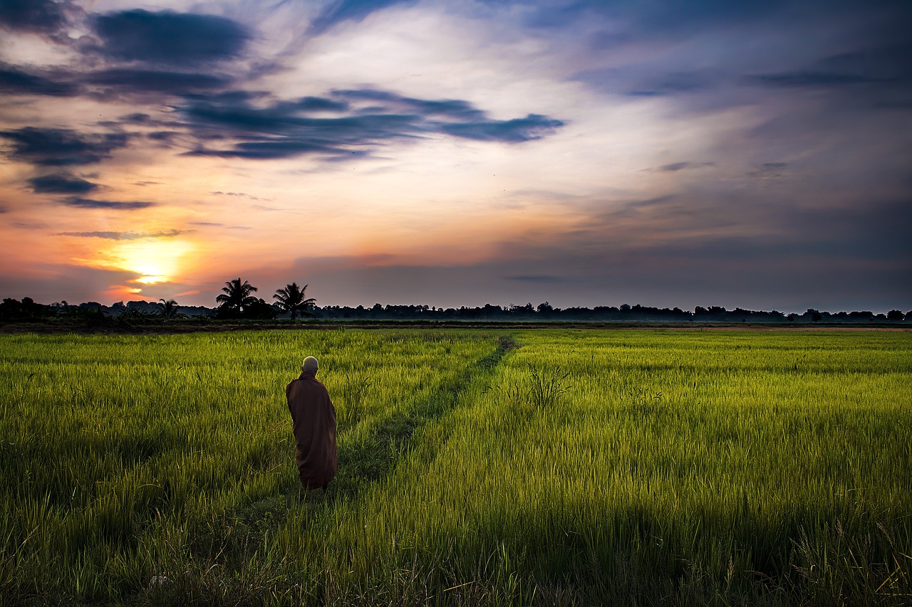 Culinary Delights and Cultural Wonders in Alor Setar