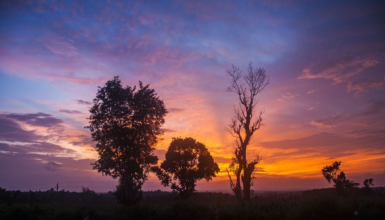 Culinary Delights in Nagarhole: A 2-Day Gastronomic Journey