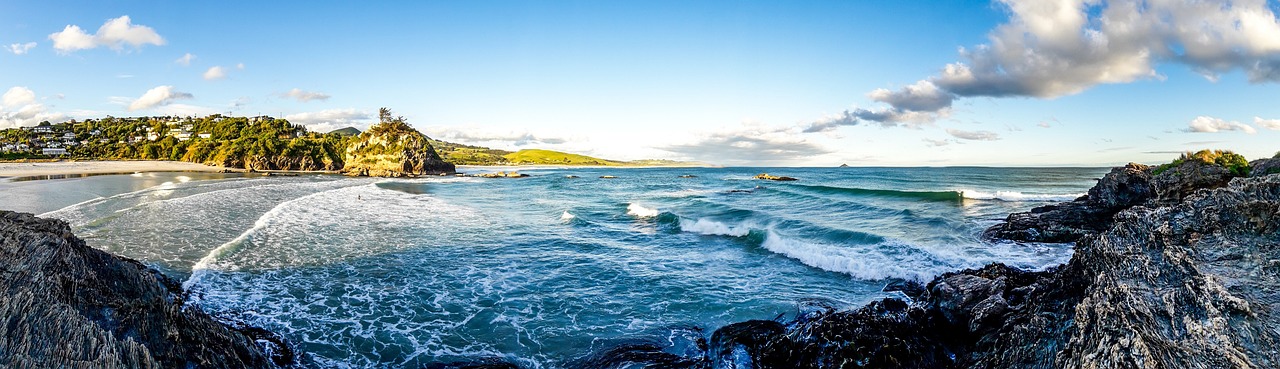 Dunedin's Nature and Heritage Delights