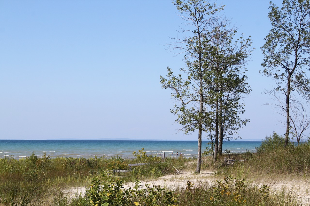 Culinary Delights and Scenic Drives in Wasaga Beach