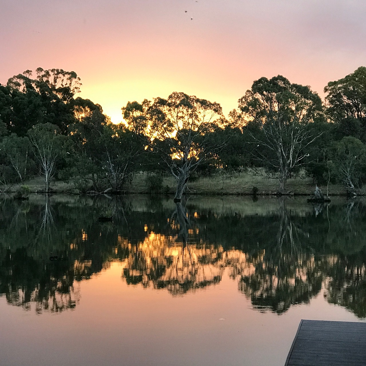 Culinary Delights and Scenic Views in Nagambie