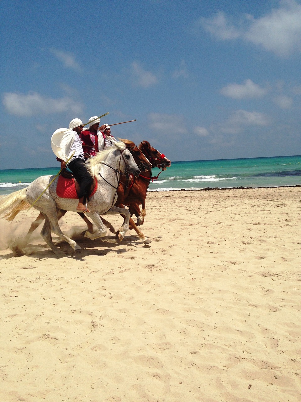 Aventure et Détente à Djerba en 8 Jours