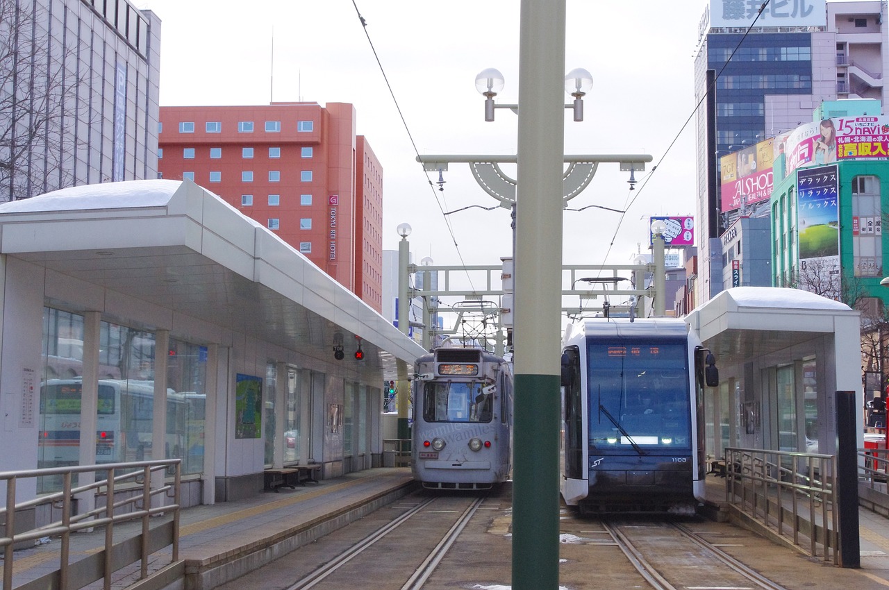 Snowy Delights in Sapporo and Otaru