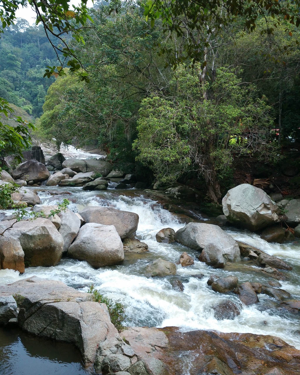 5-Day Adventure in Bentong, Pahang, Malaysia