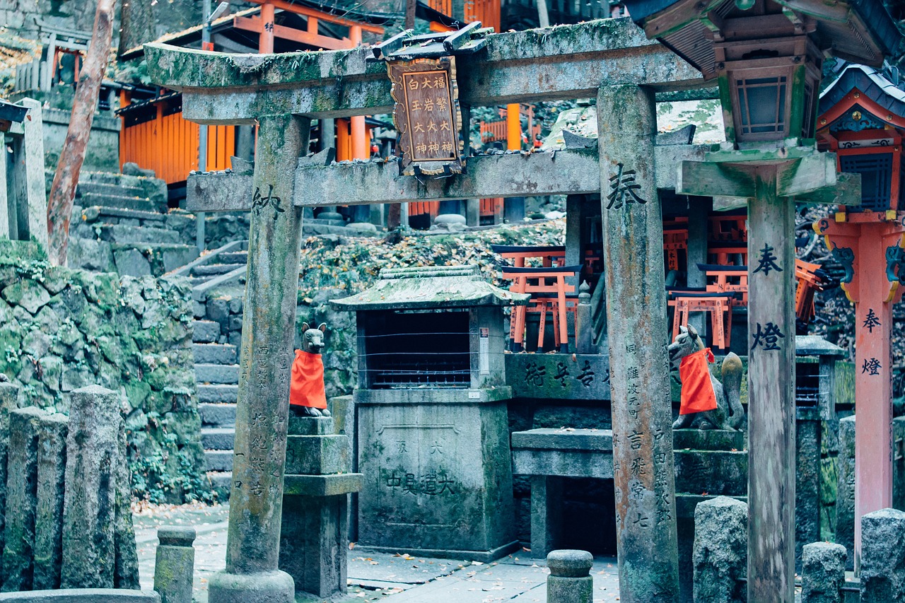 Cultural Delights and Culinary Journeys: 5-Day Kyoto Exploration