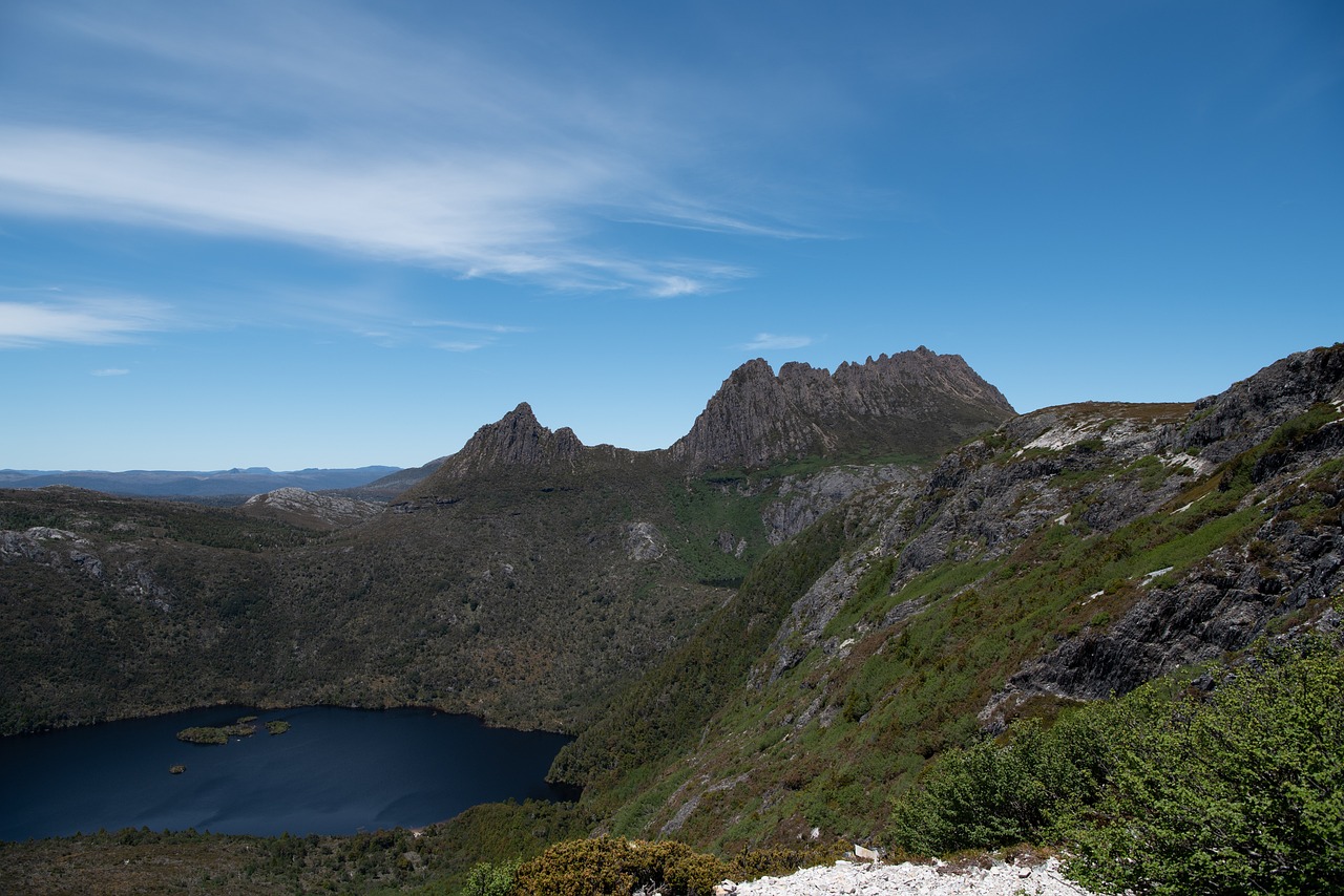 Wildlife and Culinary Delights in Cradle Mountain