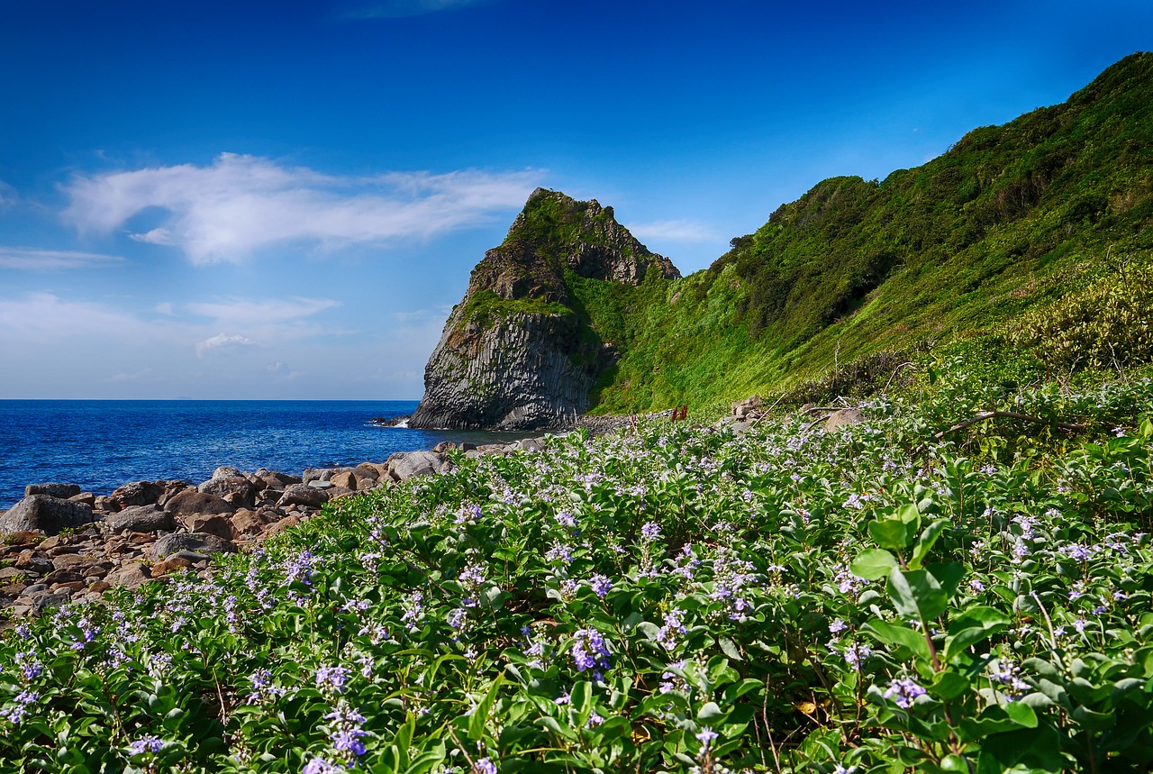 Cultural Delights and Coastal Cuisine in Itoshima