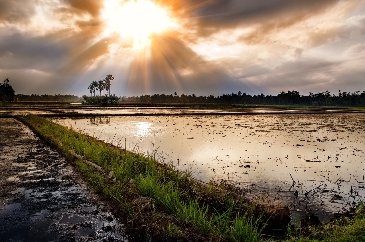 Culinary Delights and Cultural Wonders of Banda Aceh