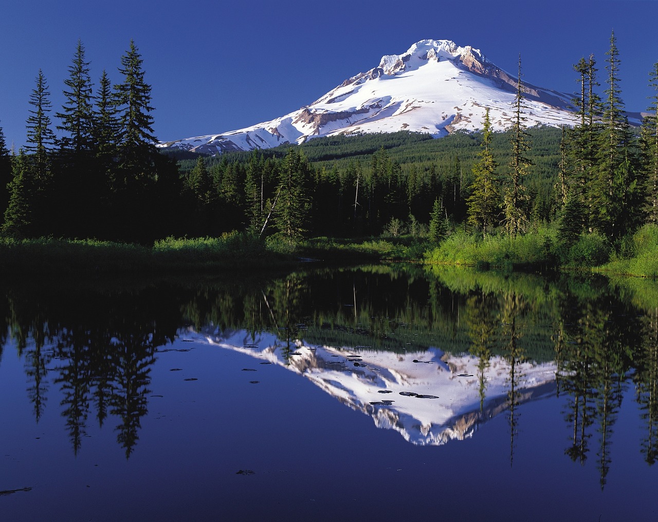 Scenic 5-Day Mount Hood Adventure with Festive Train Ride