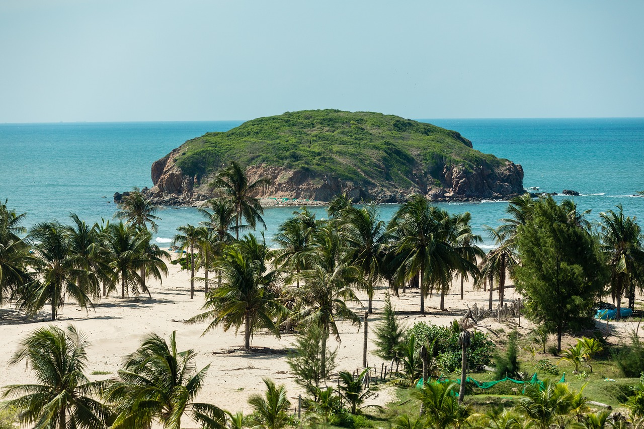 Tropical Delights: 2-Day Phan Thiet Escape