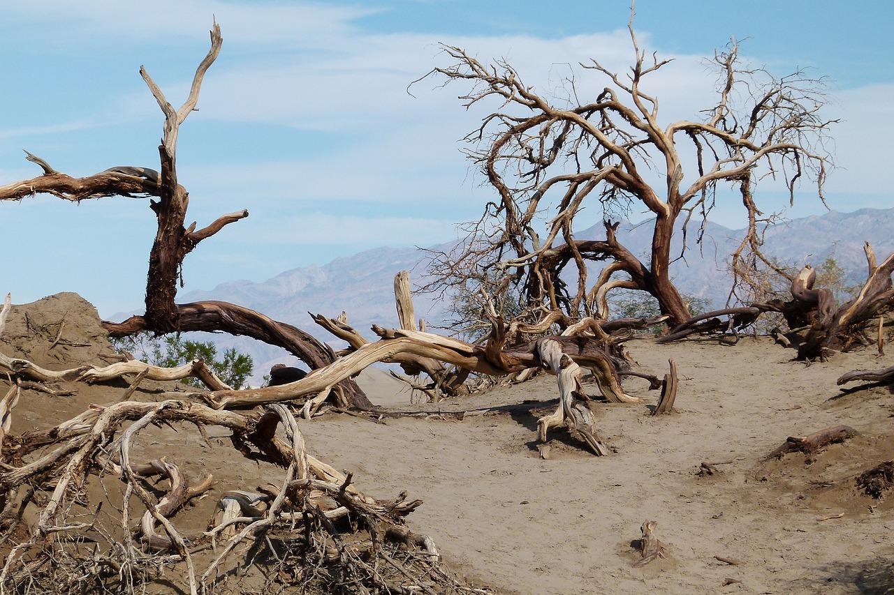 Ultimate Day Trip to Death Valley National Park