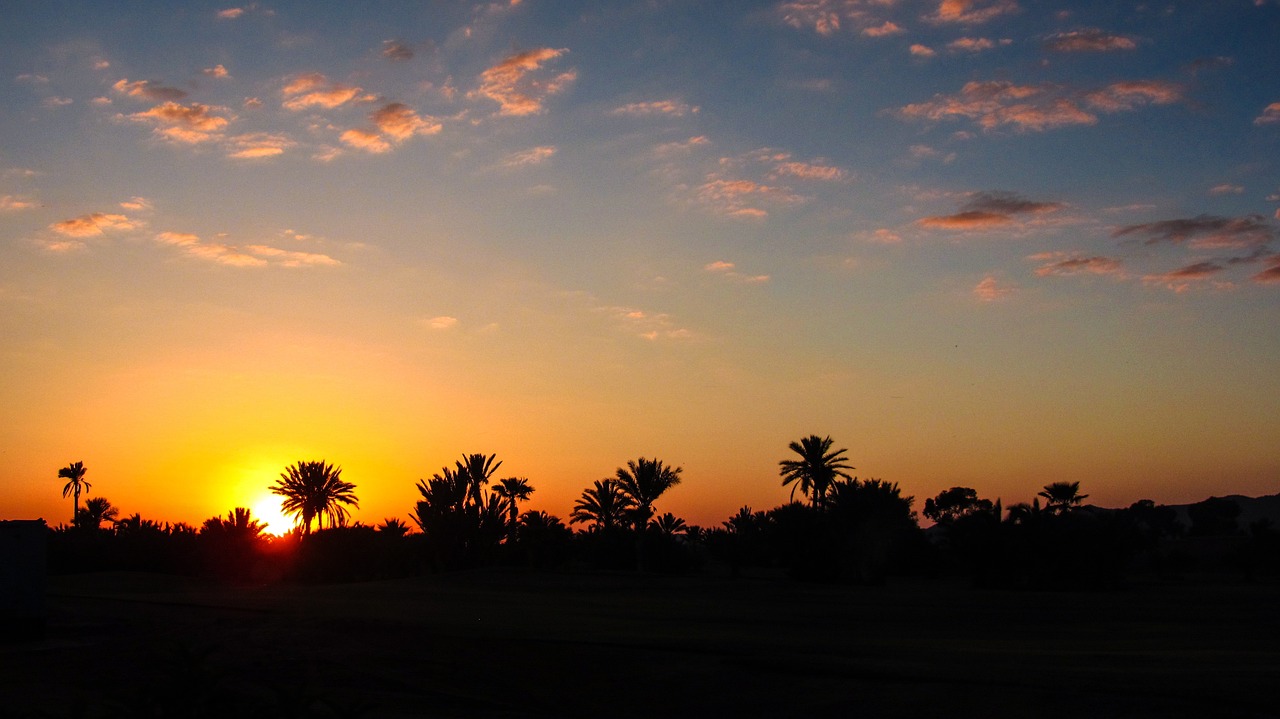 Cultural Delights and Desert Adventures in Marrakech