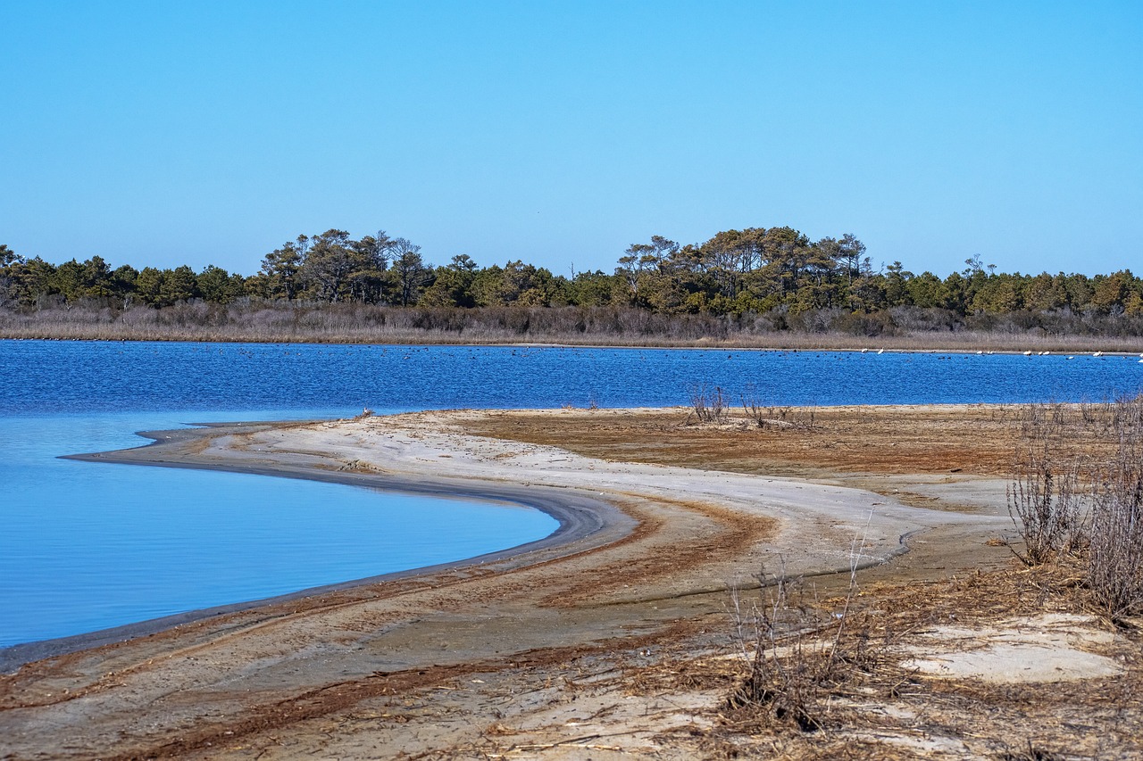 Chincoteague Island Culinary Delights and Coastal Charm