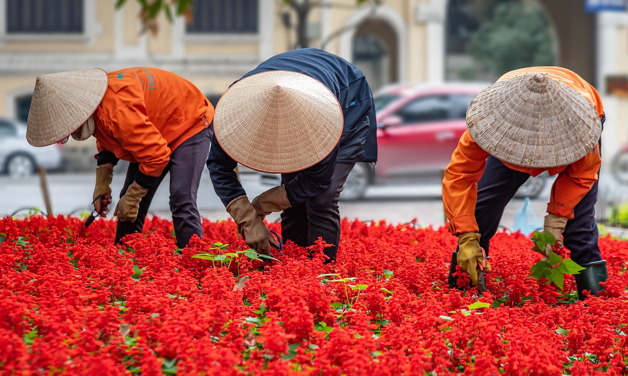 3-Day Cultural and Culinary Journey from Hanoi to Ninh Binh