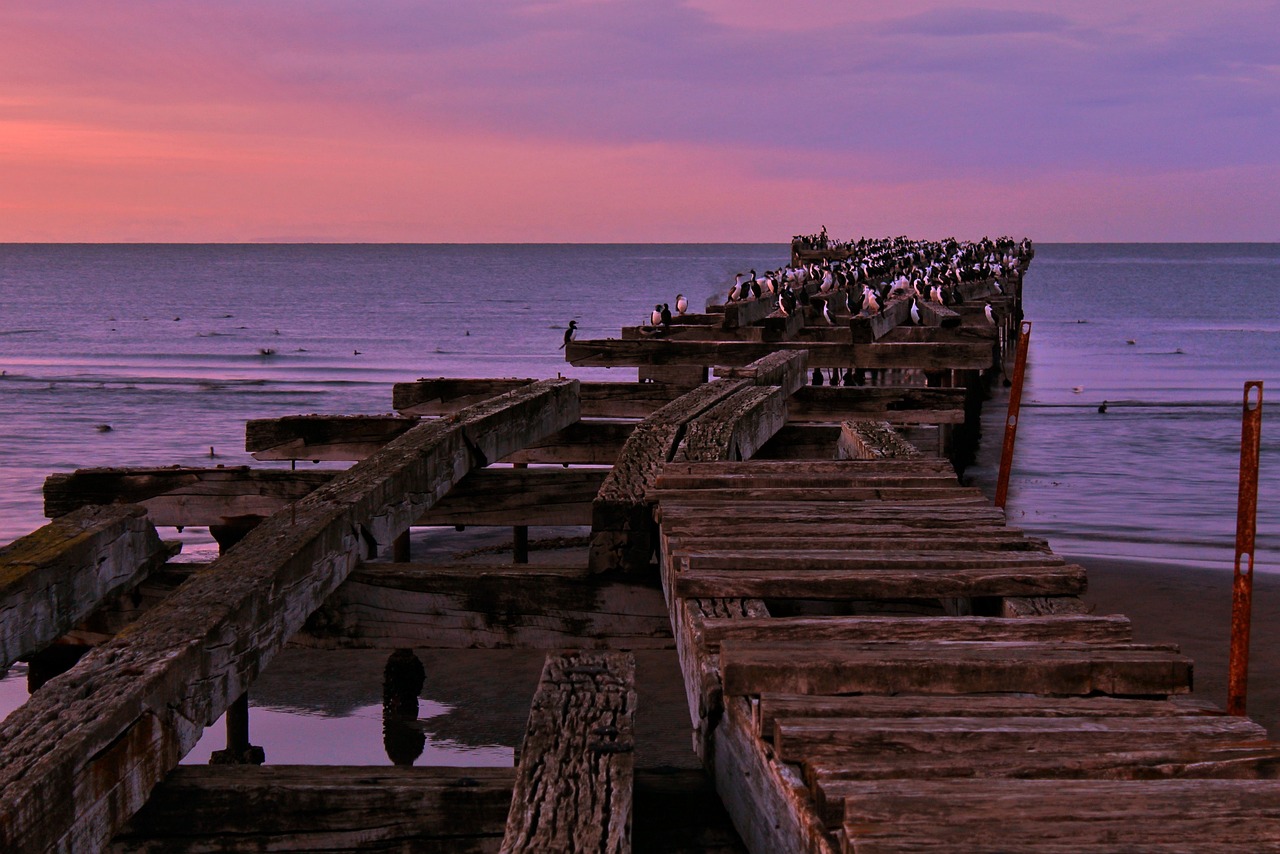 Punta Arenas: Whales, Penguins, and Glaciers Adventure