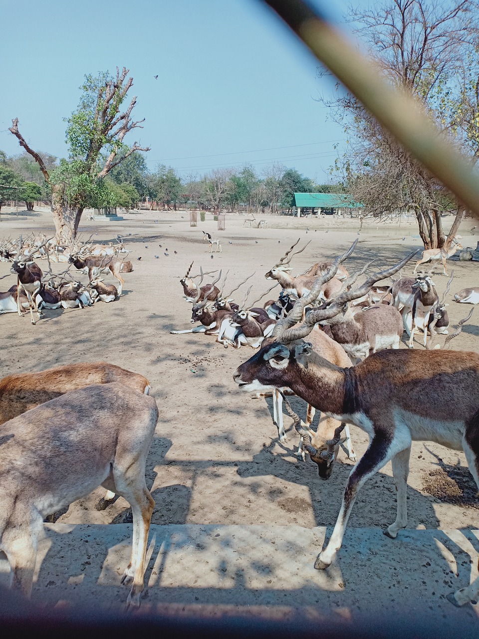 Spiritual Journey Through Vrindavan and Mathura