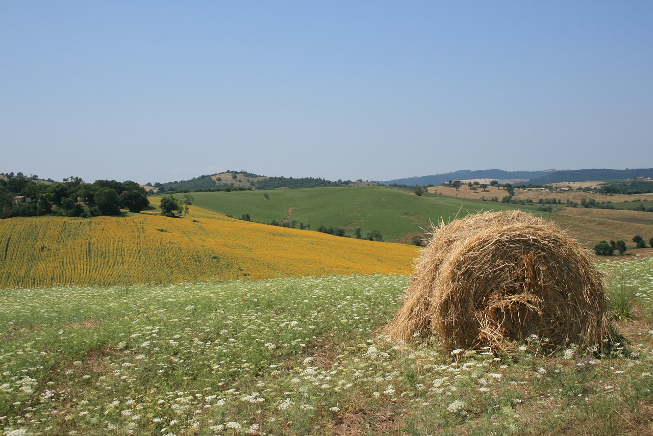 Tuscan Countryside Delights and Coastal Excursions