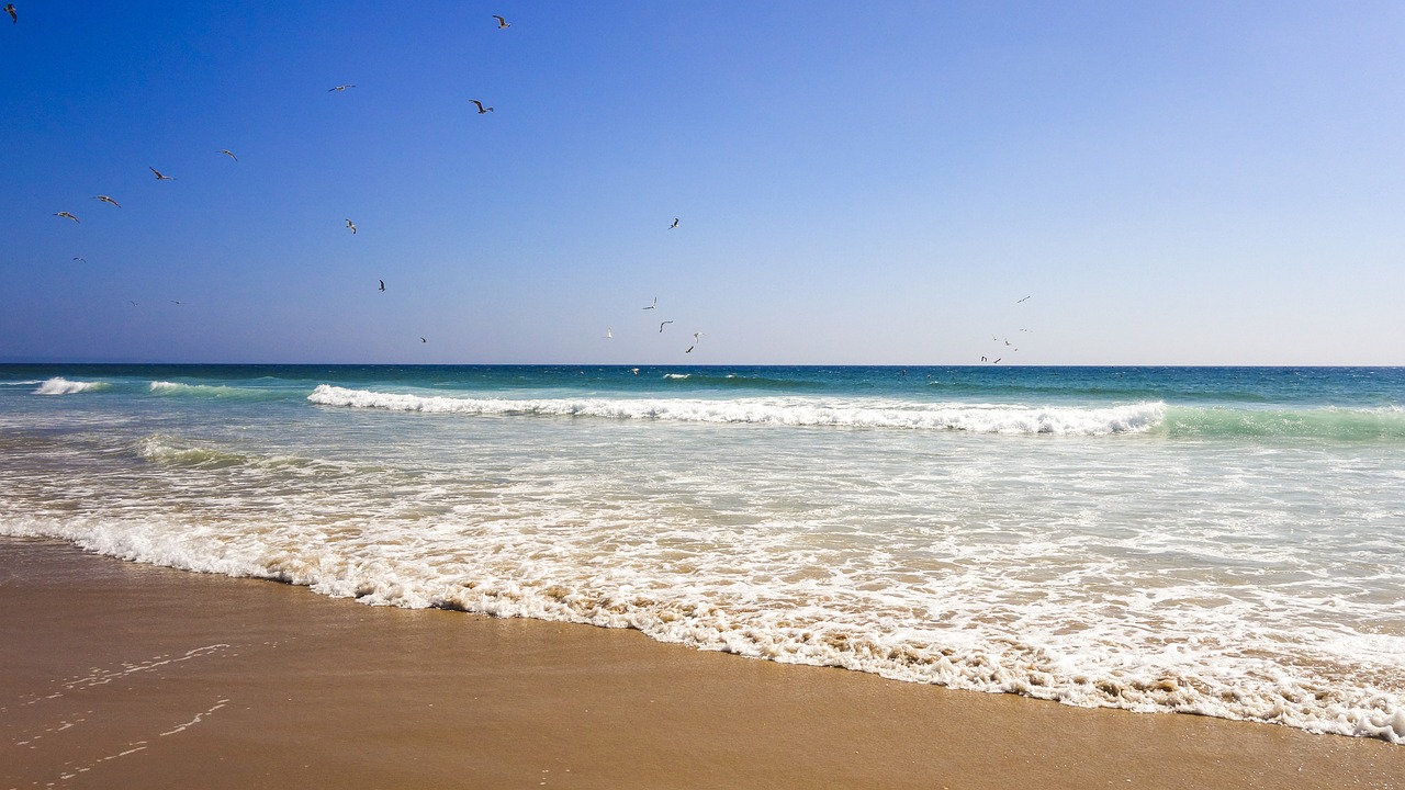 Costa de Caparica 5-Day Adventure and Culinary Delights