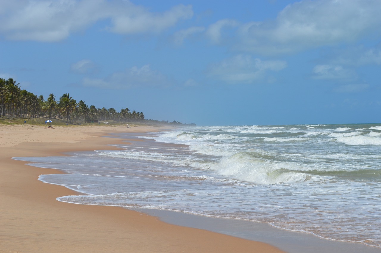 5-Day Cultural and Culinary Journey in Imbassaí, Bahia, Brazil