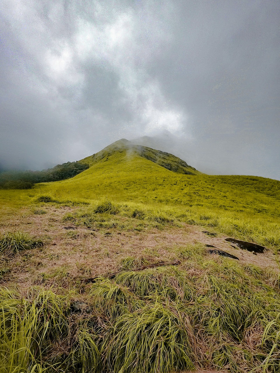 3-Day Nature and Culinary Adventure in Chembra Peak