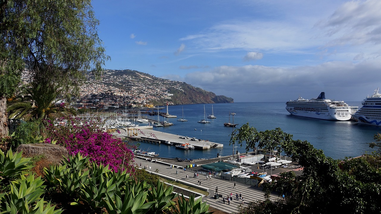 5-Day Adventure in Funchal, Madeira: Dolphin Watching, Off-Road Tours, and Scenic Hikes