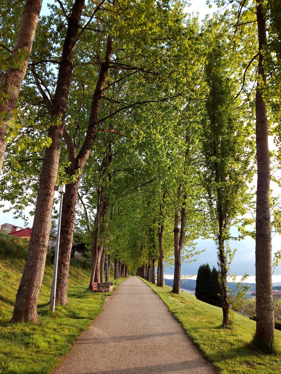 Experiencia de 2 días en Santiago de Compostela y Rías Baixas