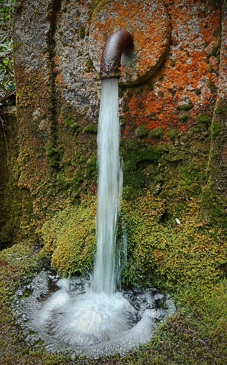 Culinary Delights and Cultural Wonders in Nogales, Arizona