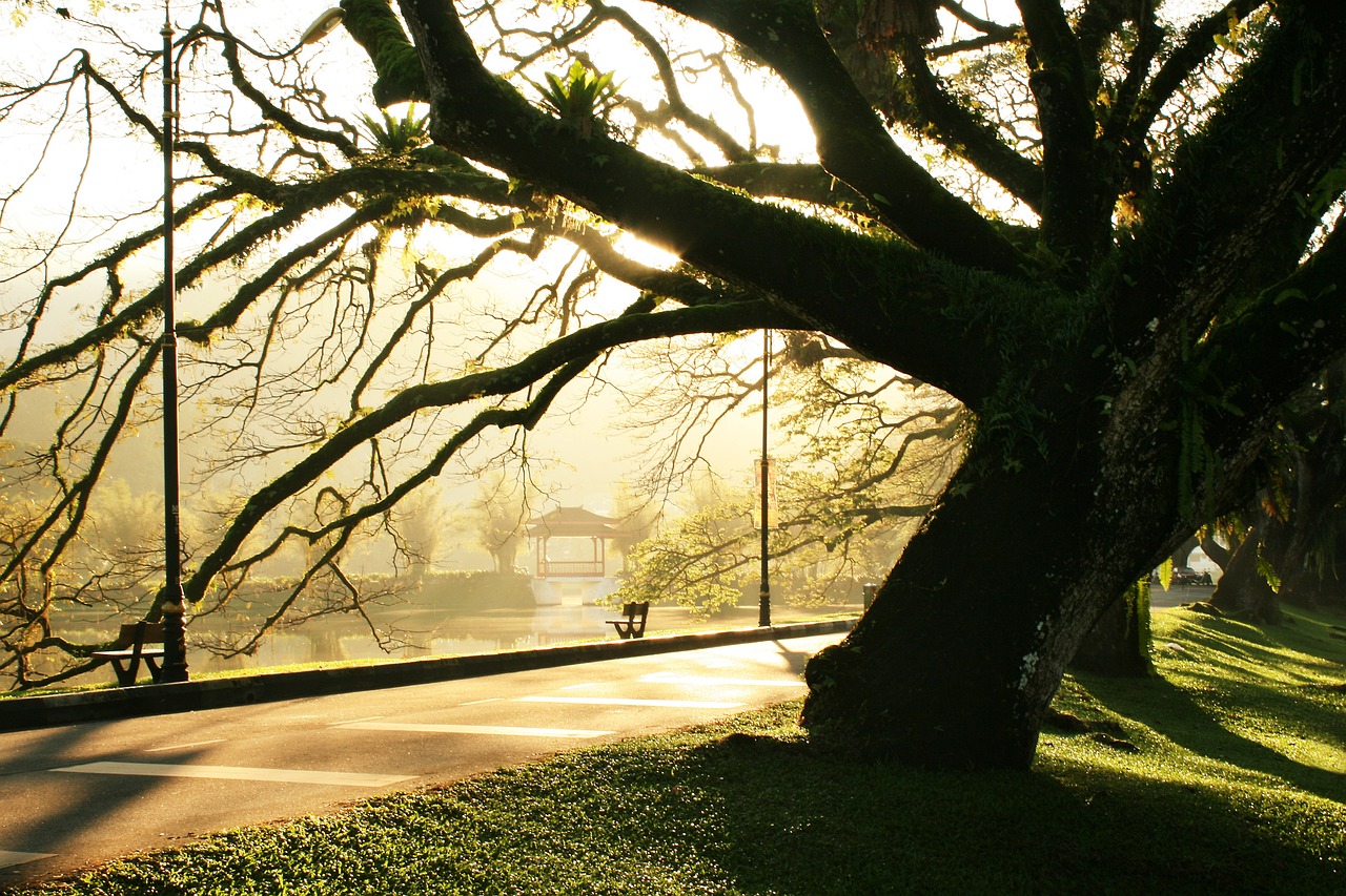 Culinary Delights and Cultural Wonders in Taiping, Perak