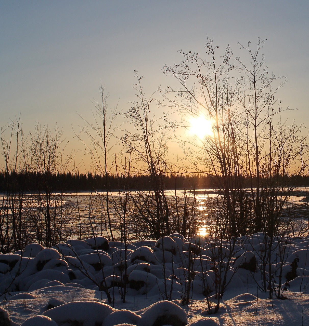 Fairbanks Winter Wonderland: Northern Lights, Dog Sledding, and Local Delights