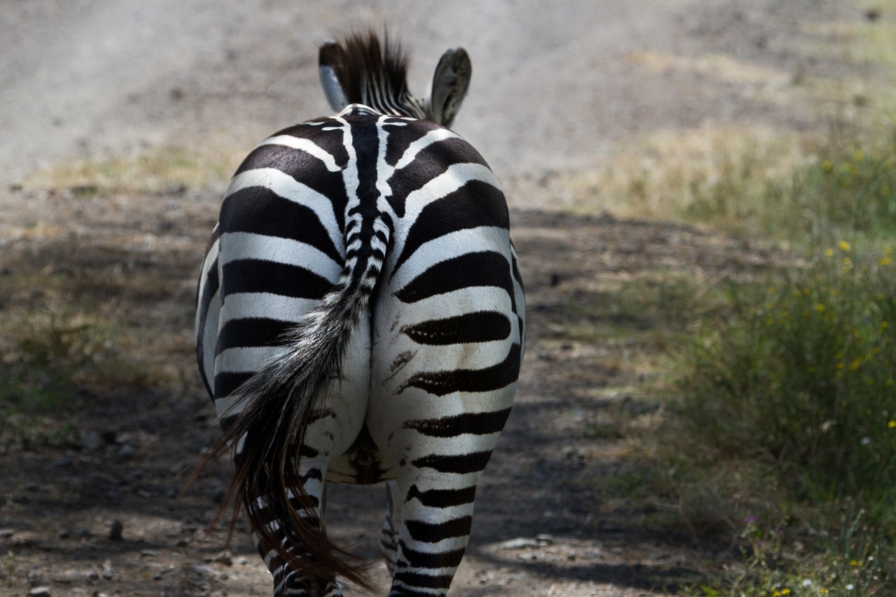 5-Day Lake Nakuru Adventure and Culinary Delights