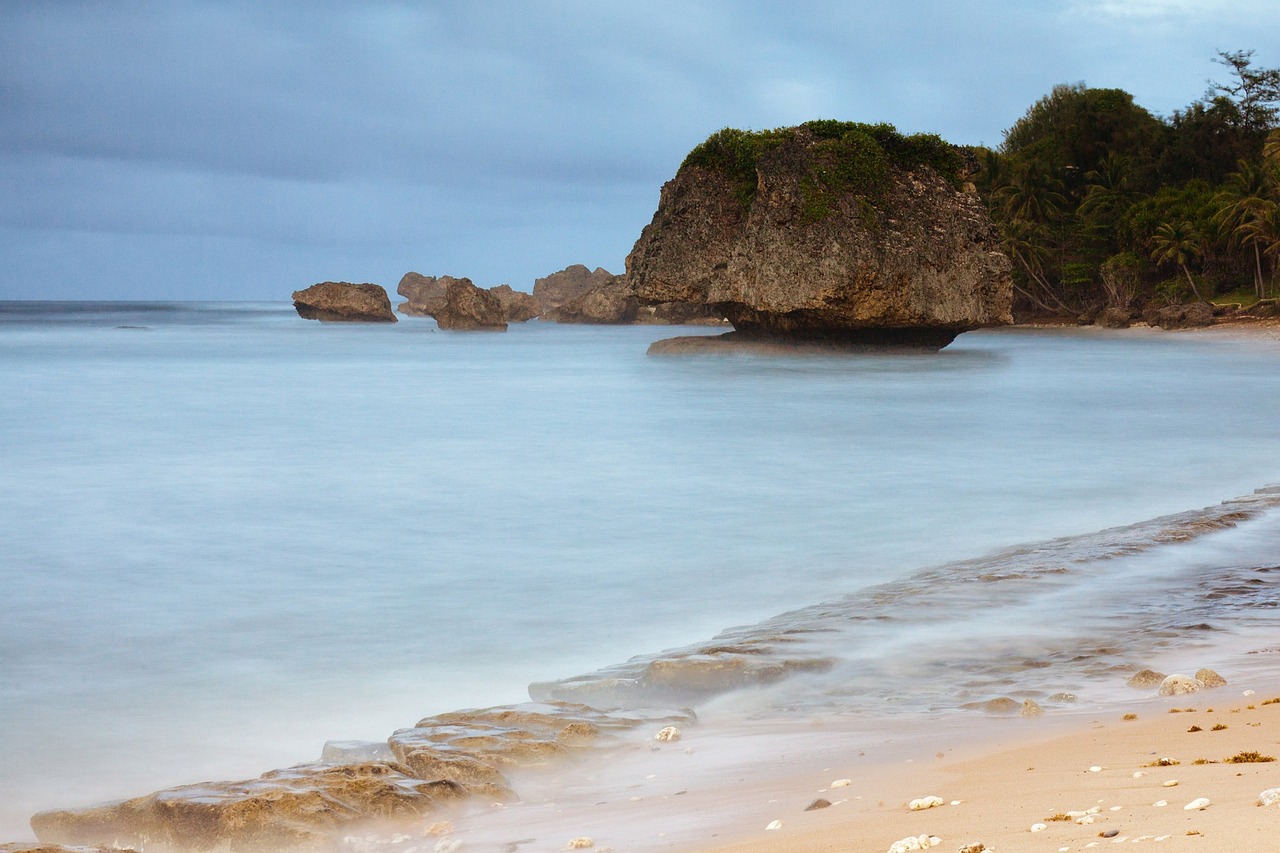 Ultimate 5-Day Adventure in Bathsheba, Barbados