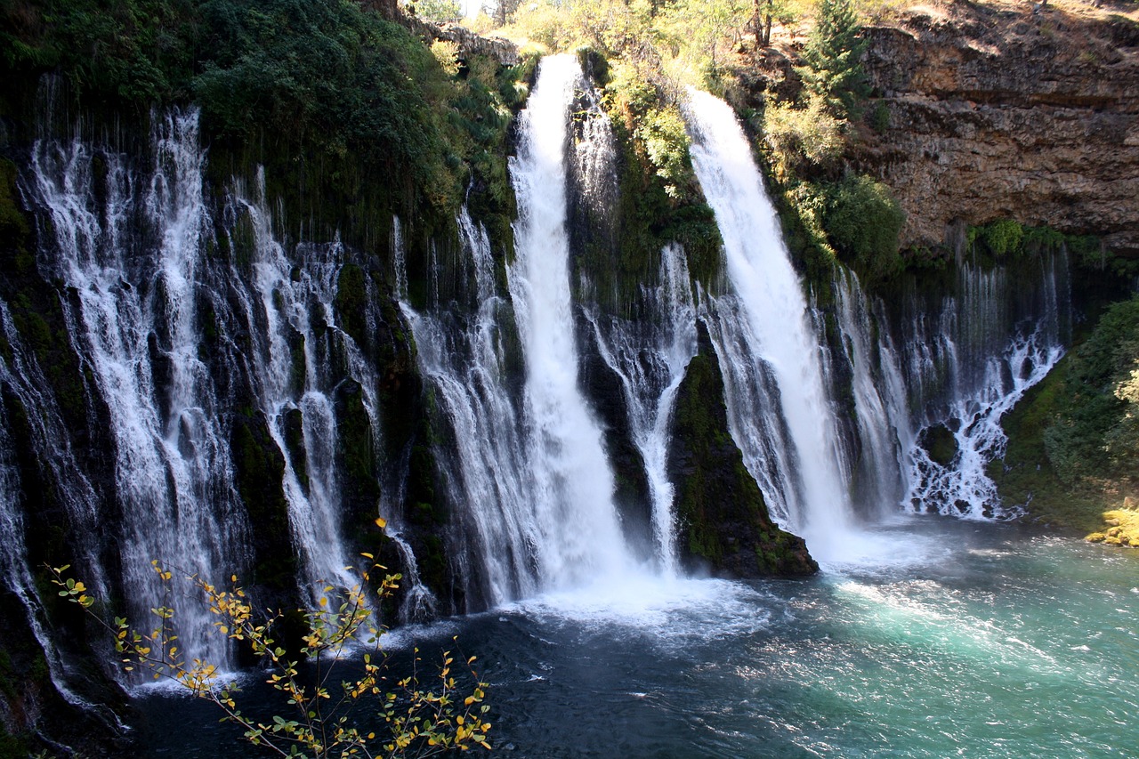 Tasmanian Wilderness and Culinary Delights: 5-Day Adventure