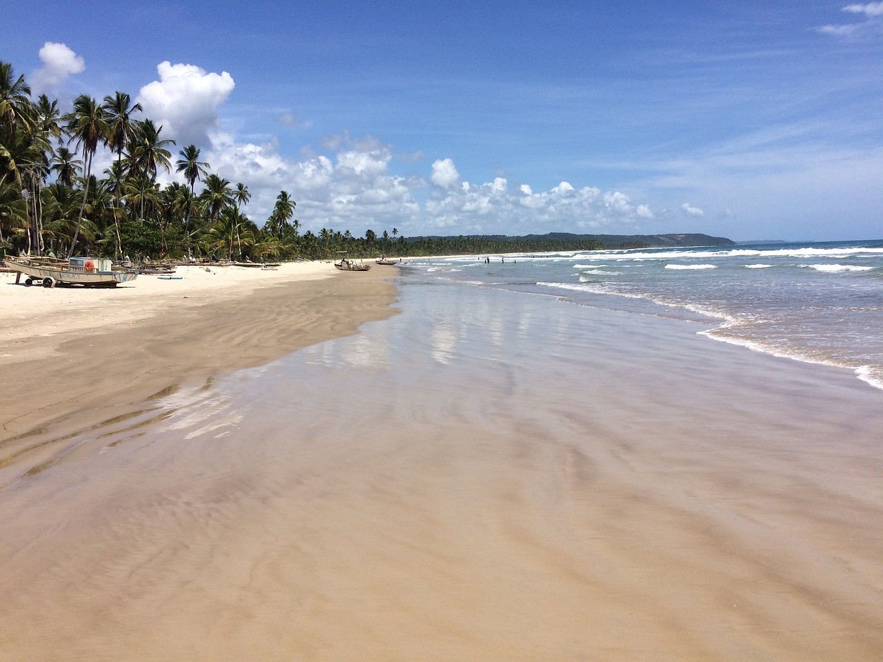 Cultural Delights and Coastal Cuisine in Ilhéus, Brazil