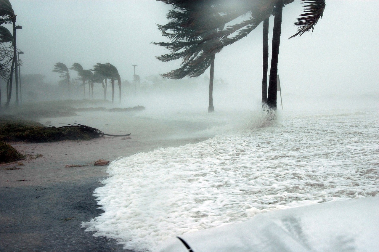 West Palm Beach Waterfront Wonders