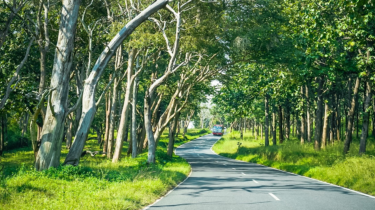 Cultural and Culinary Delights of Gudalur, Tamil Nadu