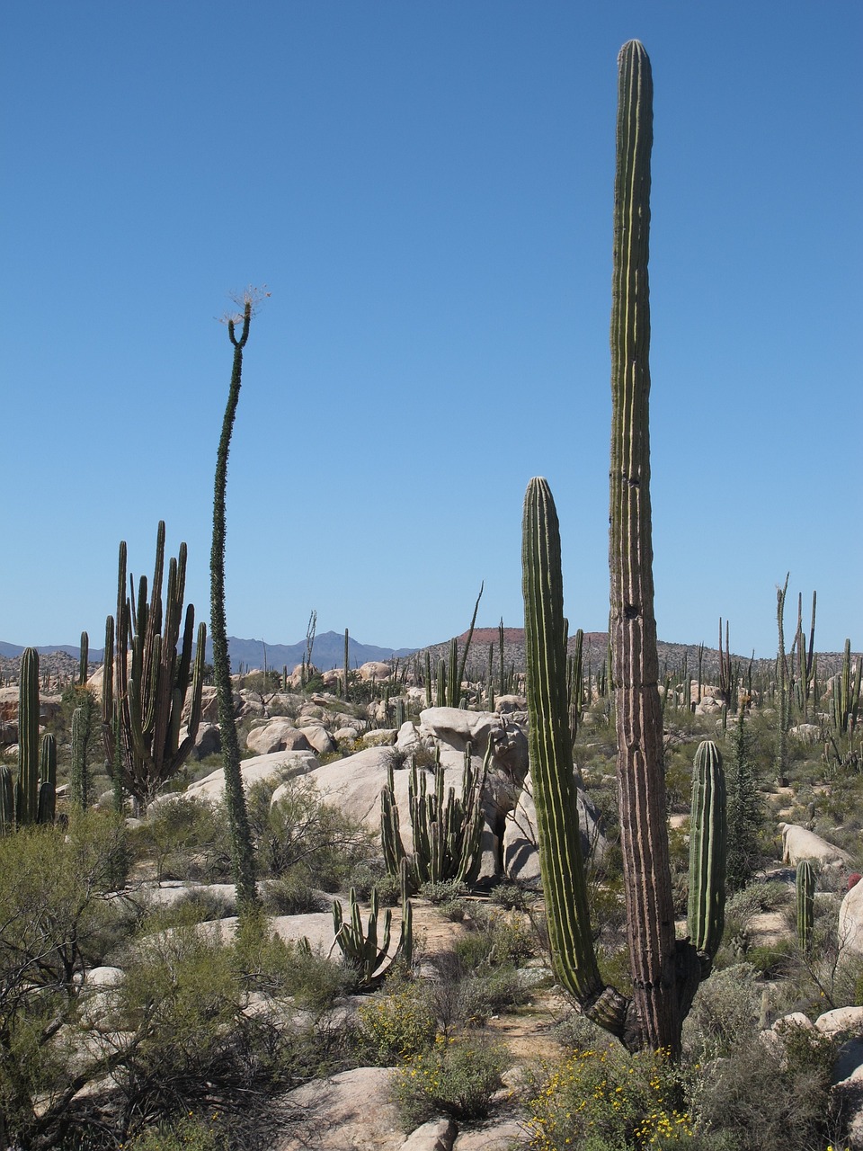 Baja California Beach Adventure