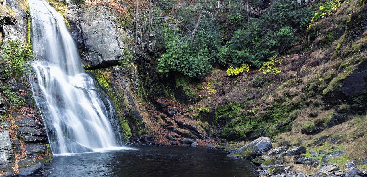 Nature's Majesty and Culinary Delights in Bushkill Falls