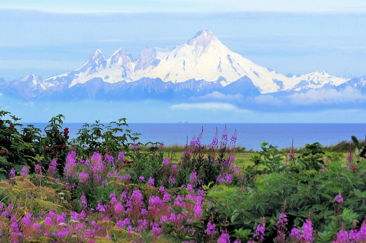 Culinary Delights and Scenic Wonders: 4-Day Homer, Alaska Adventure