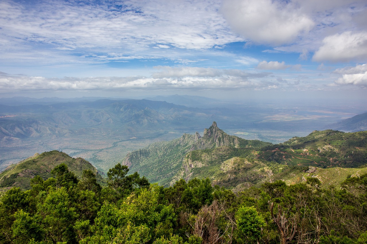 Scenic Nilgiri Hills: 5-Day Nature and Culinary Delights