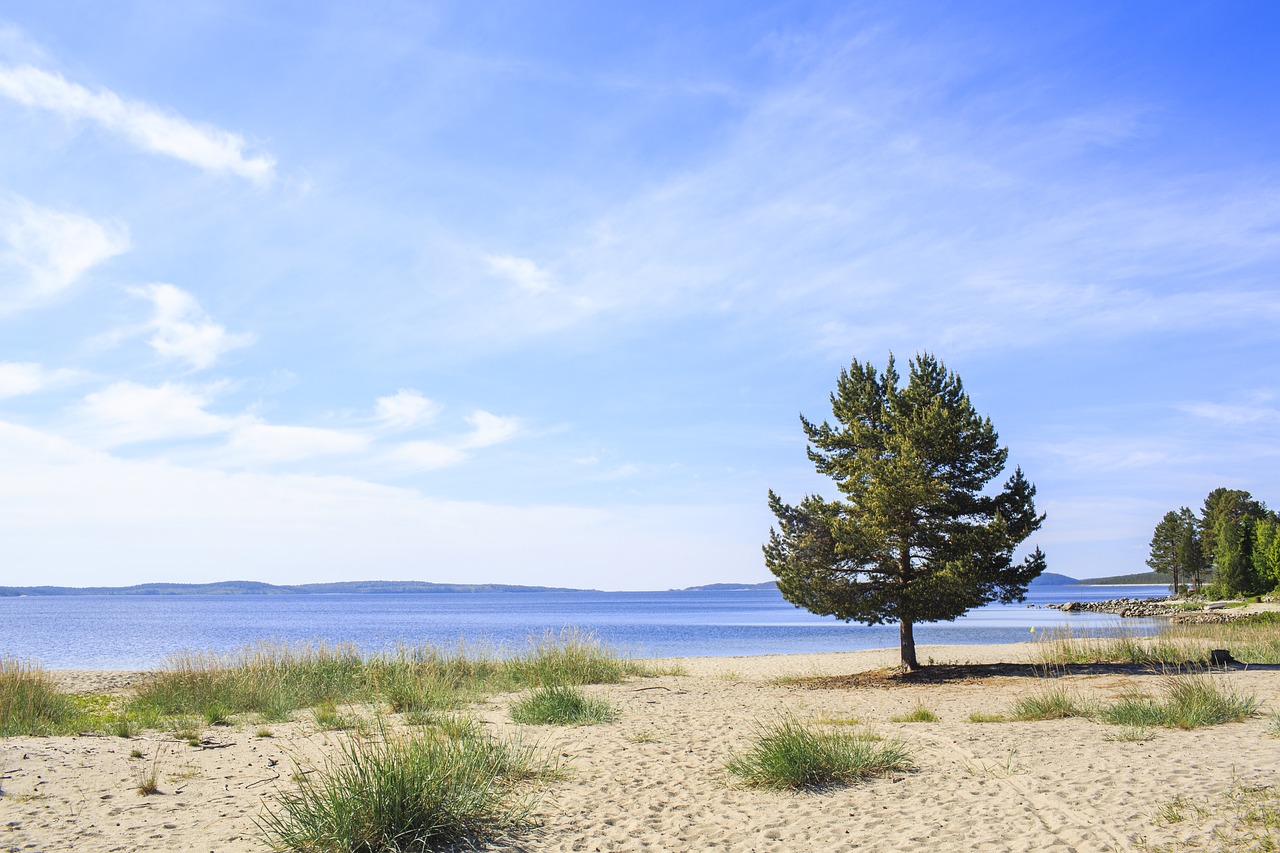 Culinary Delights and Coastal Charms in Örnsköldsvik, Sweden