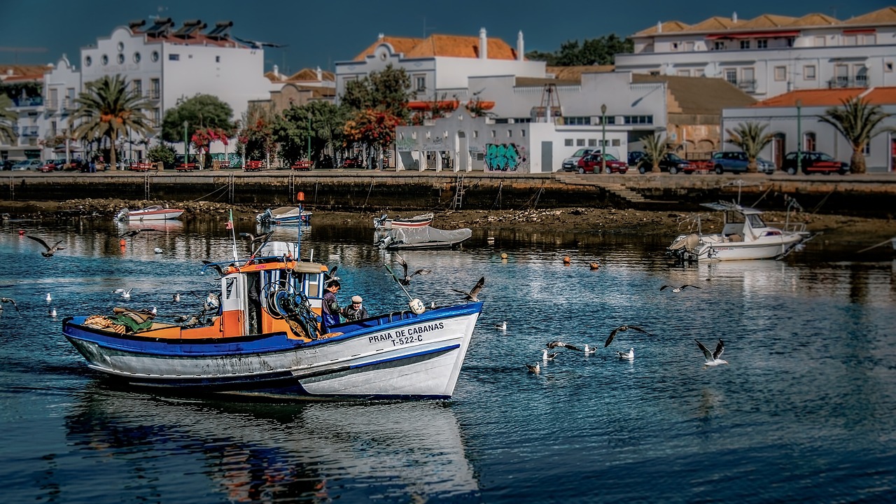 Coastal Delights and Island Adventures in Tavira, Portugal