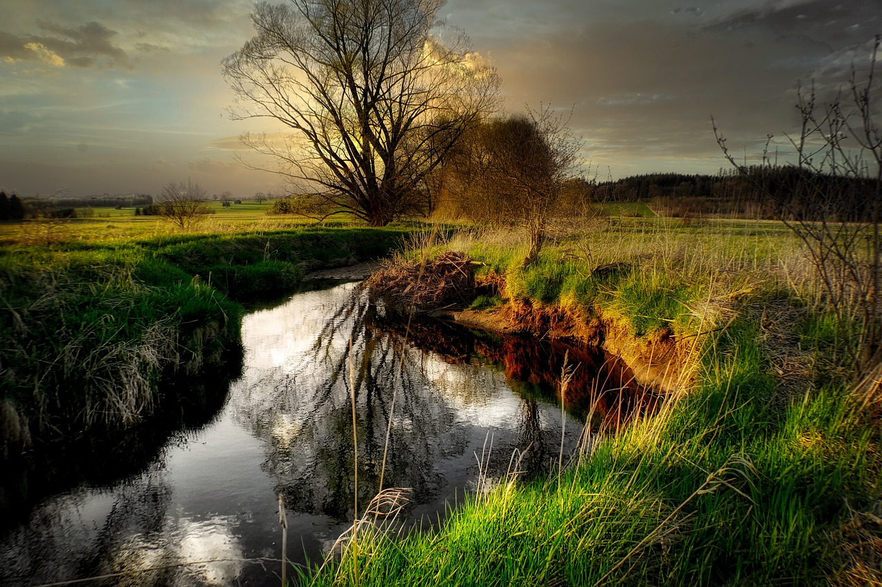 Historical Heritage and Culinary Delights in Staffordshire