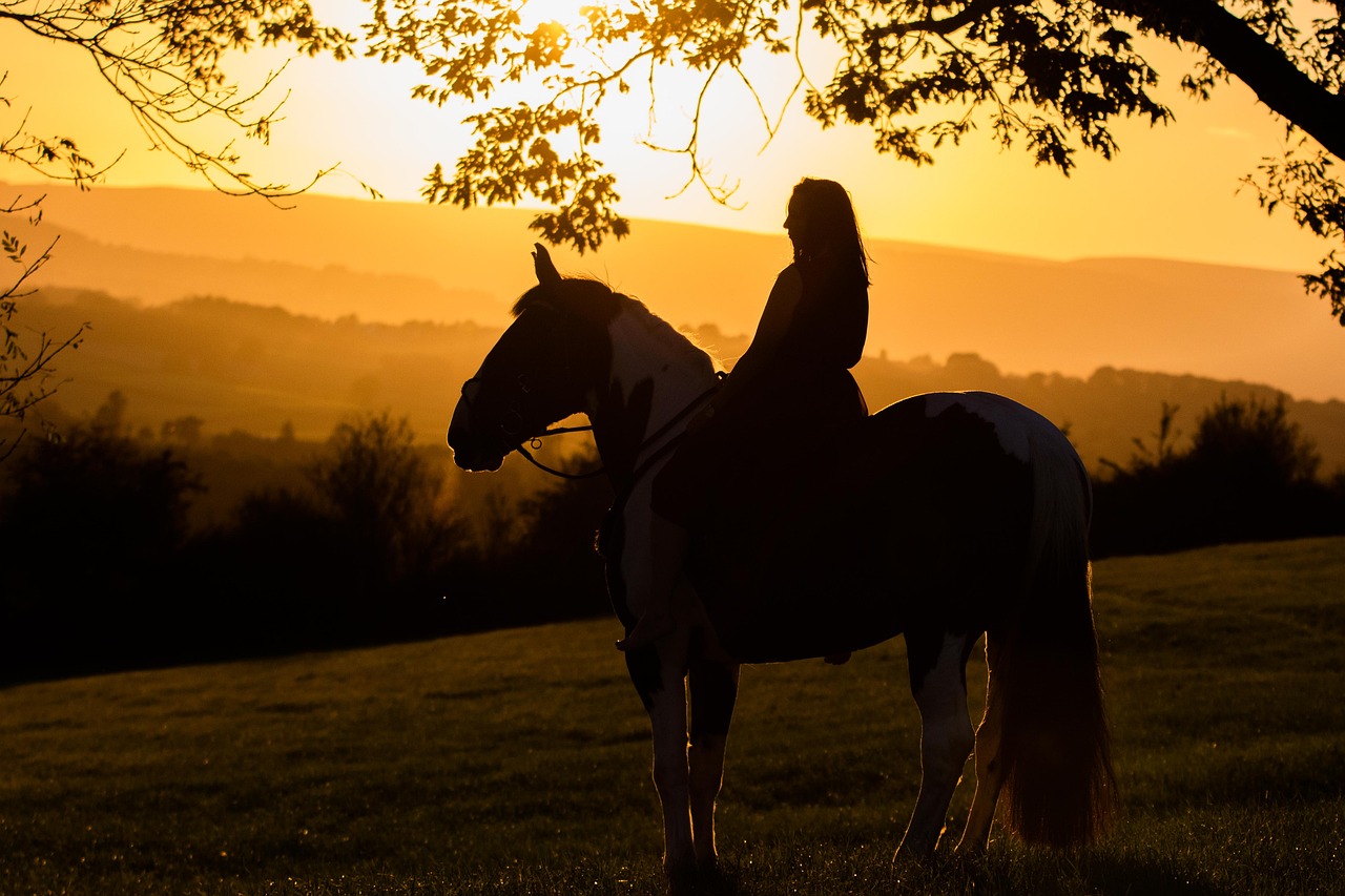 Countryside Adventures and Culinary Delights in Monmouthshire, Wales