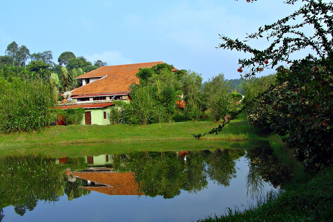 Cultural Delights and Scenic Wonders of Kodagu in 4 Days