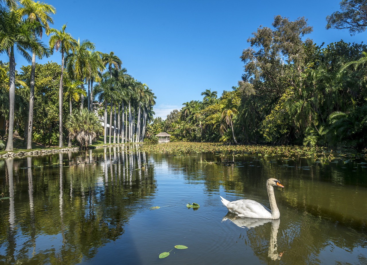 Vegan Delights and Waterfront Wonders in Fort Lauderdale