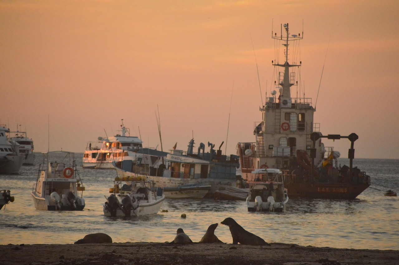 Esplorazione delle Isole Galapagos in 8 giorni