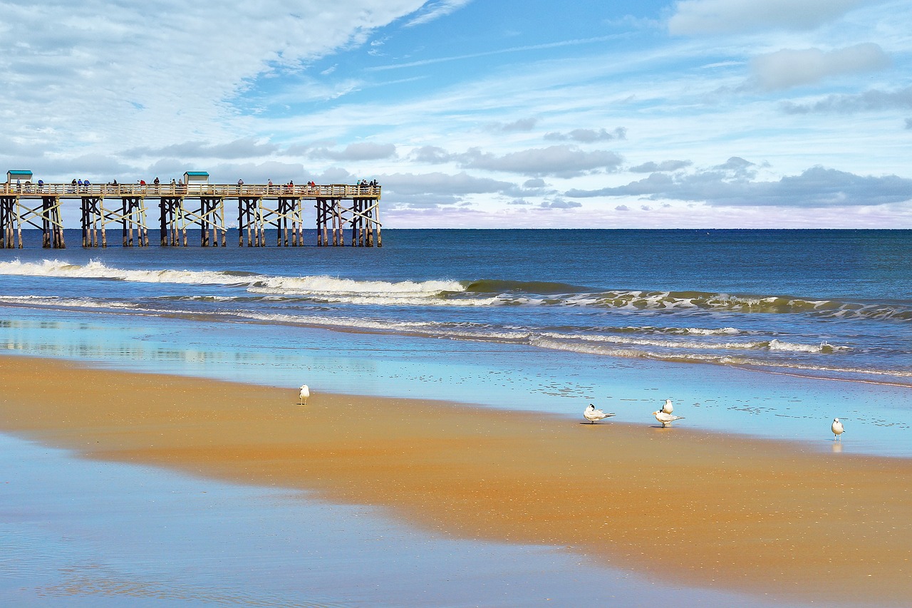Ultimate 5-Day Flagler Beach Adventure with Dolphins and Culinary Delights