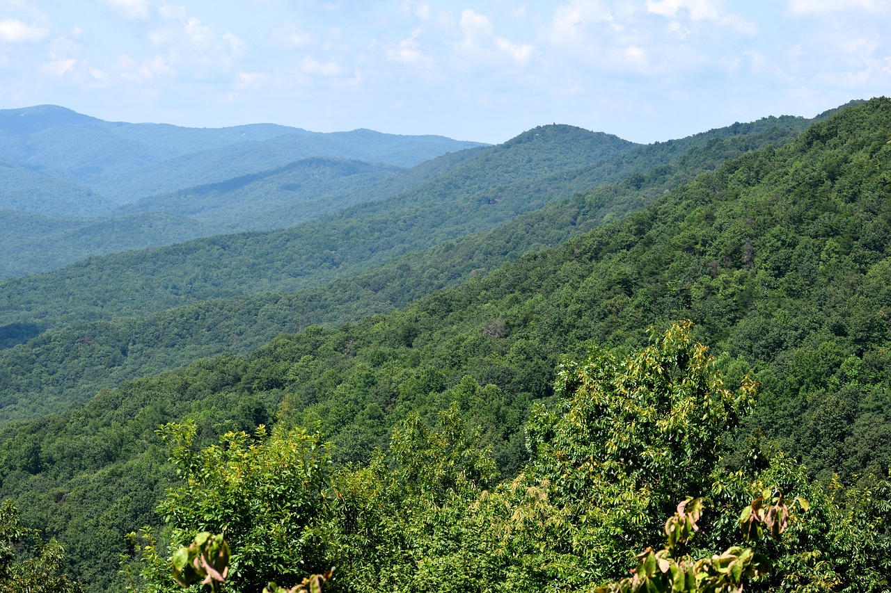 A Romantic Day in the Mountains of Dahlonega, Georgia