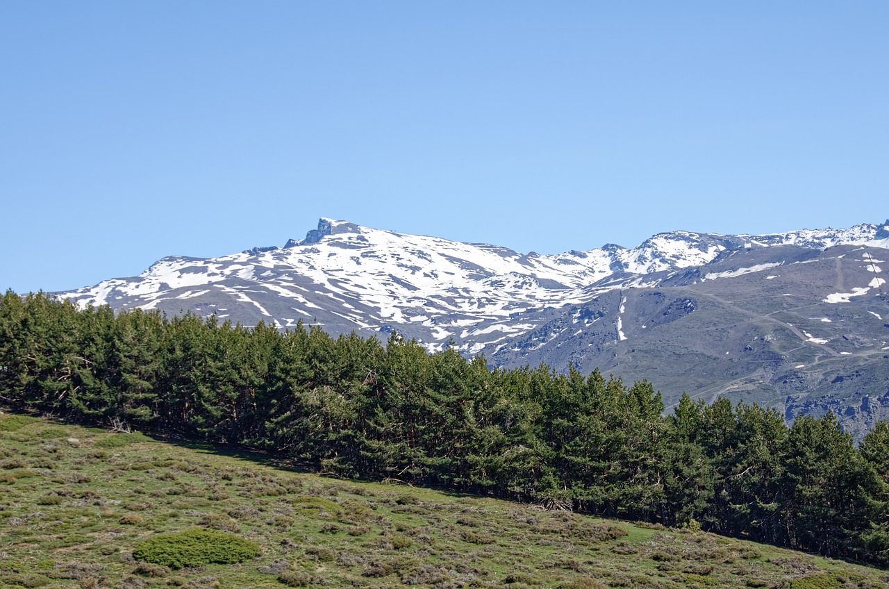 Aventura en la Nieve y la Sierra: 5 días en Sierra Nevada y Alrededores