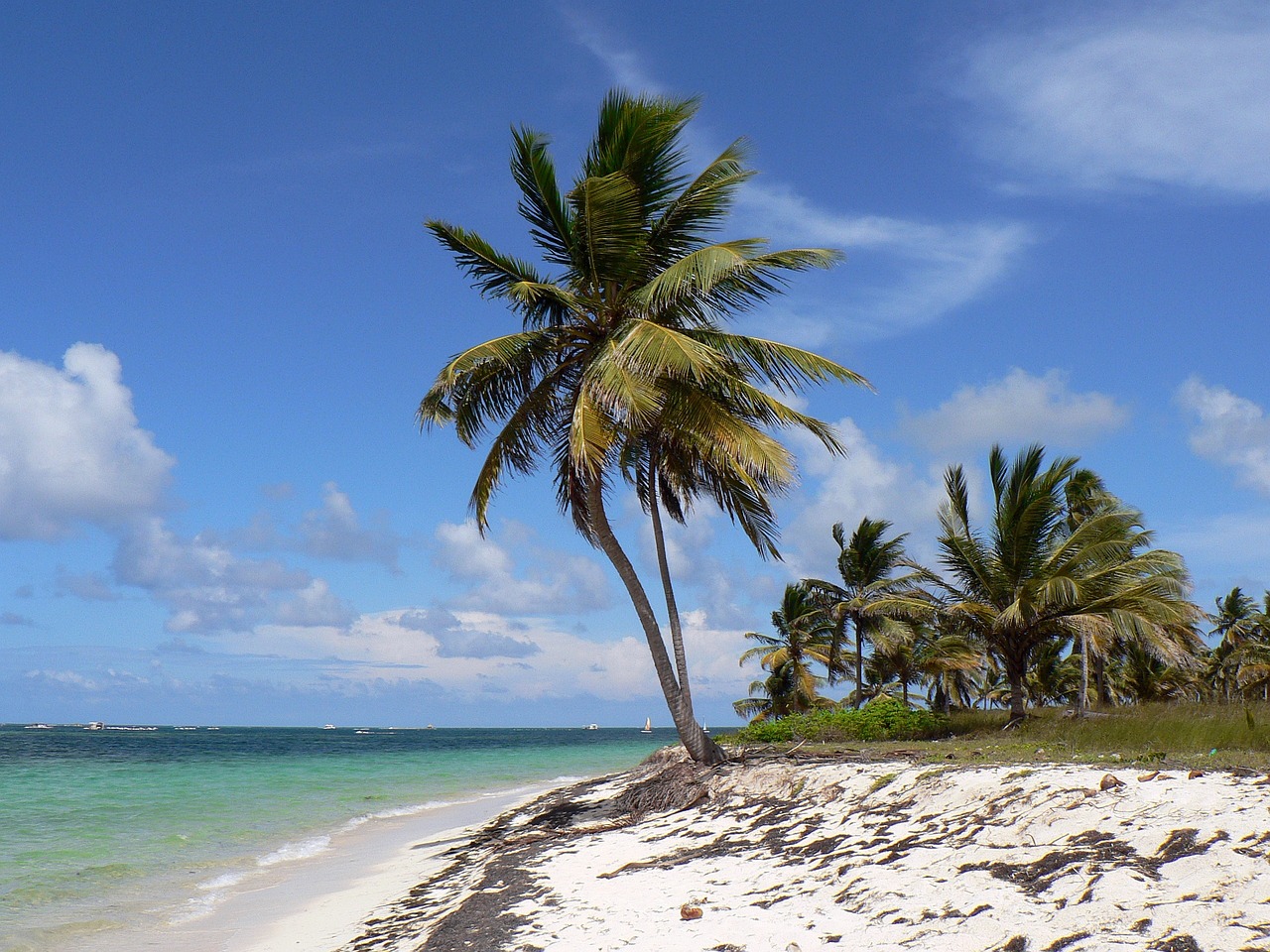 Esplorazione di Punta Cana e Isola Saona in 5 giorni